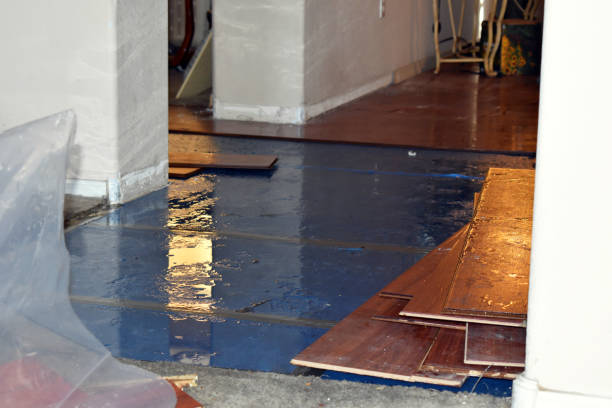 Professional Basement Flood Cleanup technician working in Carmel, ME